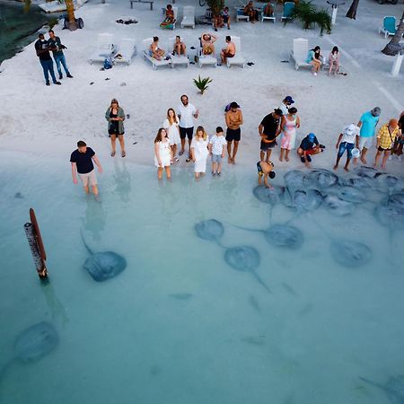 Hidden Treasure Vacation Home Blue Bay Cottage Caye Caulker Extérieur photo